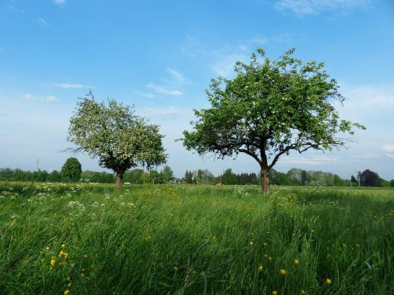 Die liberale Stimme an der Fils